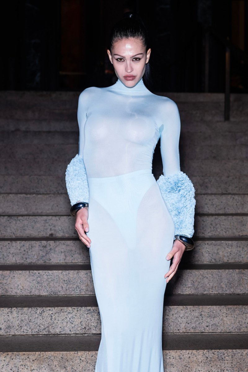 Amelia Gray Hamlin Sheer Dress CFDA Awards
