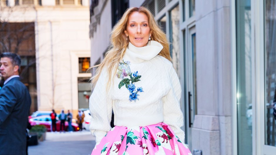 Celine Dion Finally Has Stiff-Person Syndrome 'Under Control' | Life & Style