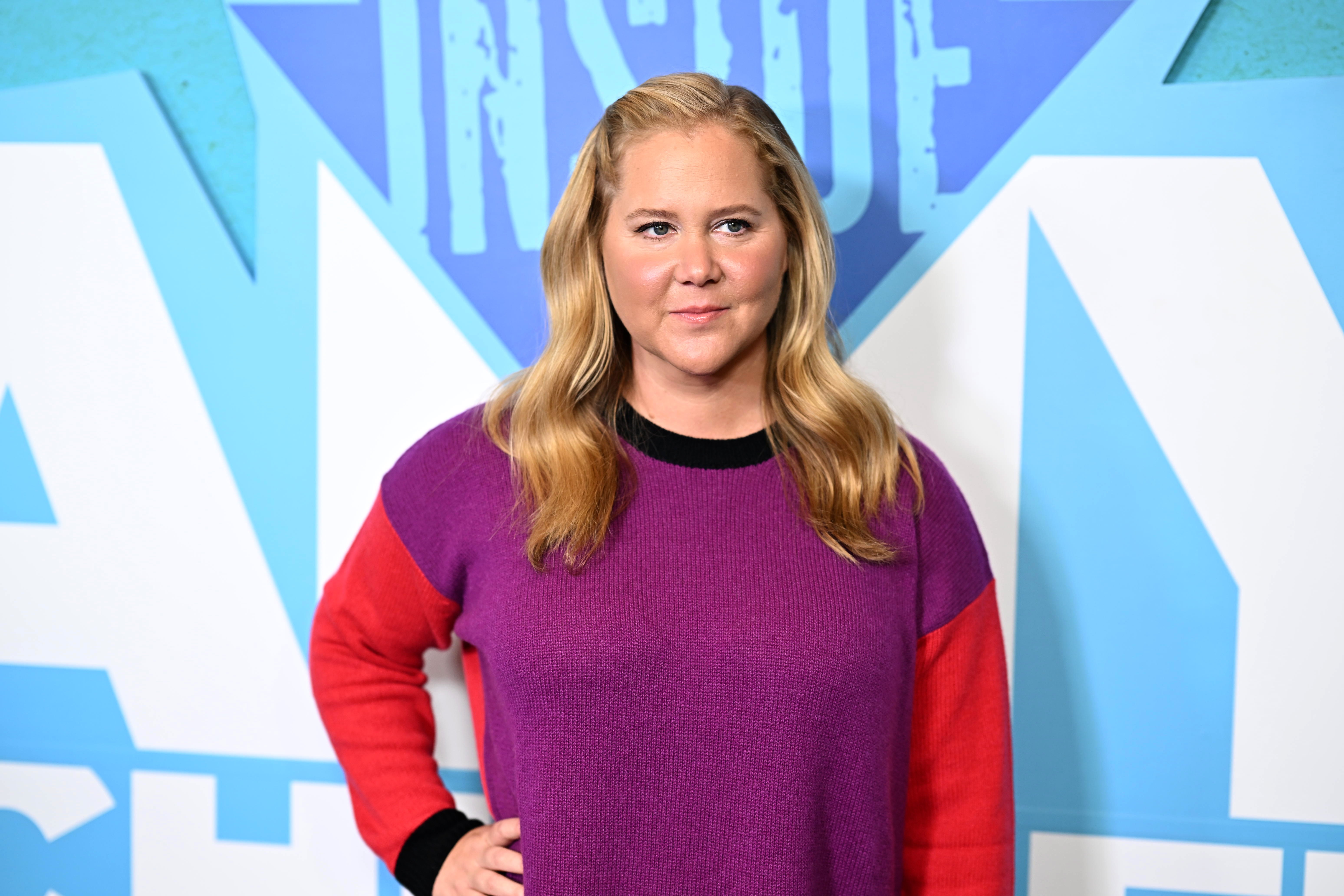 Amy Schumer Says Trolls Hate Her Because She's 'Not Thinner' | Life & Style