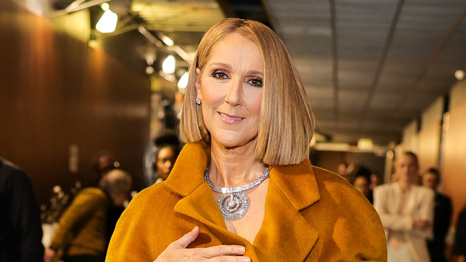 Celine Dion 'Hopeful' New Doc Will 'Shine a Light' on SPS