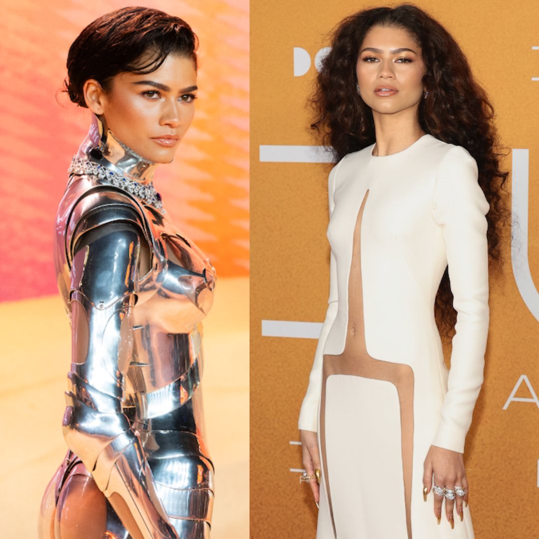 zendayas sexiest sheer outfits over the years photos