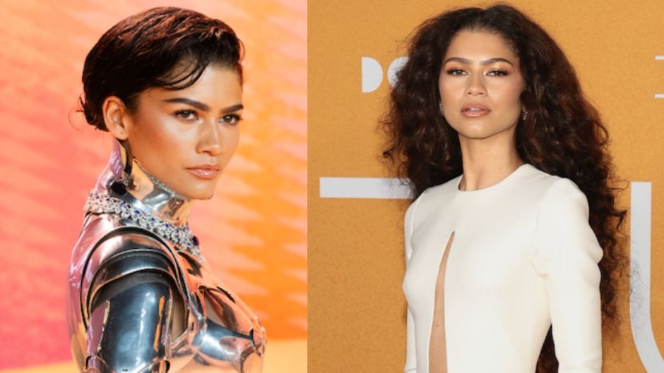 zendayas sexiest sheer outfits over the years photos