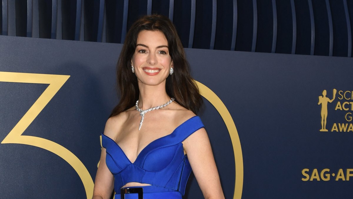 Anne Hathaway Kids: Her 2 Sons With Husband Adam Shulman