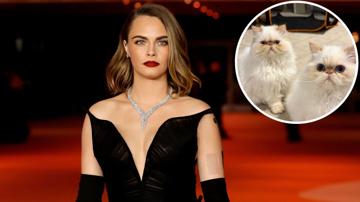Cara Delevingne Breaks Silence After Home Burned Down