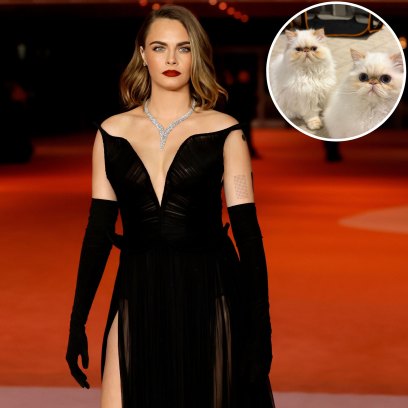 Cara Delevingne Breaks Silence After Home Burned Down