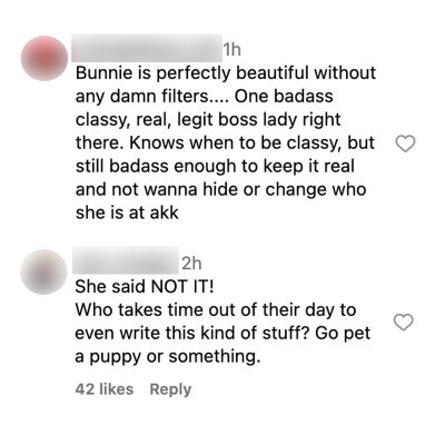 Bunnie Comments