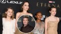 Where Does Brad Pitt Stand With His and Angelina Jolie's Kids?