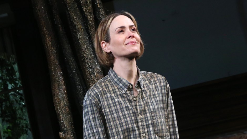 sarah paulson on plastic surgery and not changing her face