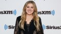 Kelly Clarkson Suffers Wardrobe Malfunction at New Jersey Show