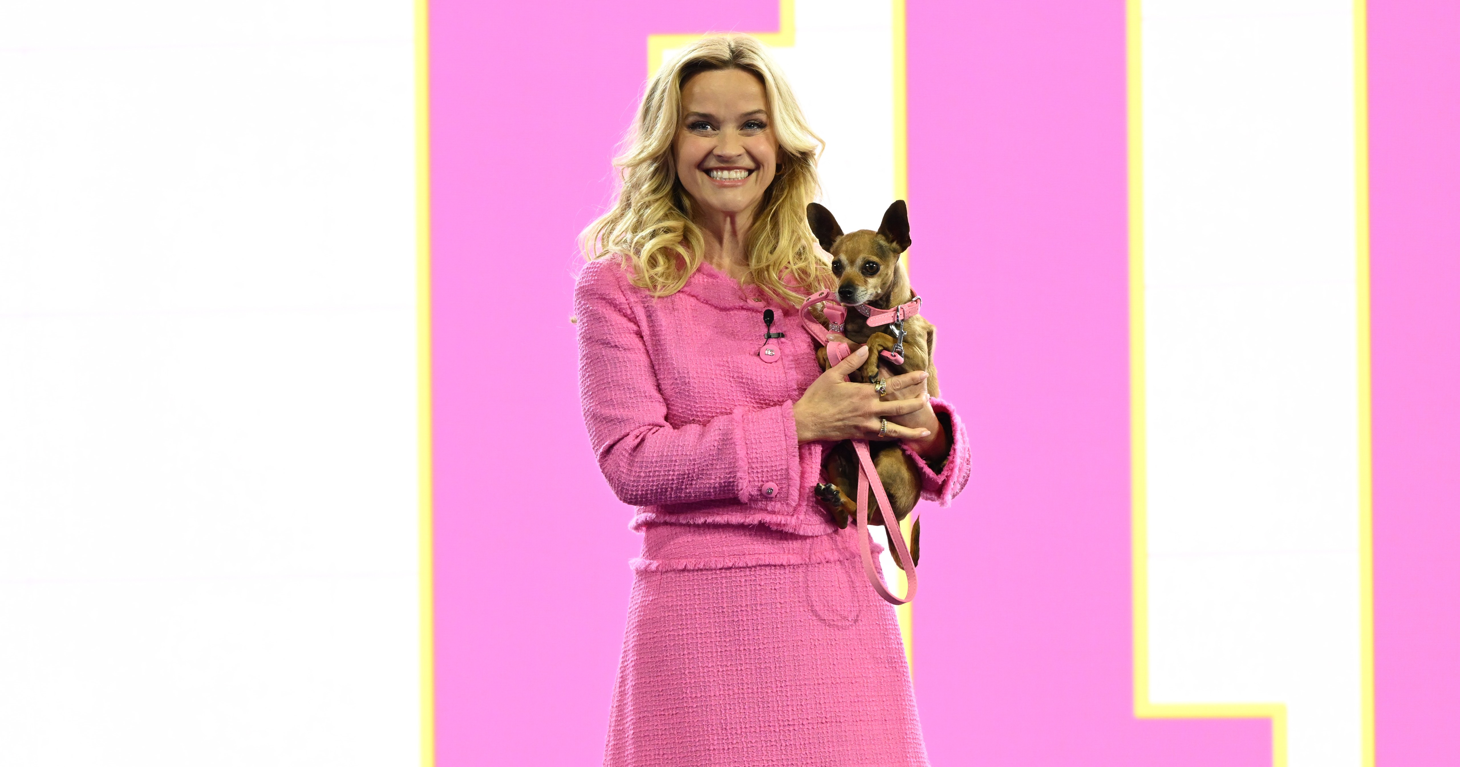 What Is Elle About? Amazon's Legally Blonde Prequel Series - Vimarsana News