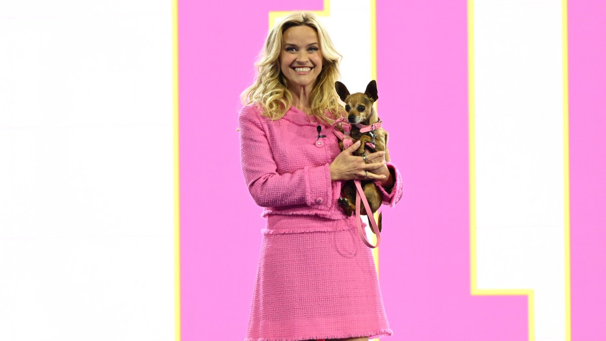 What Is Elle About? Amazon's Legally Blonde Prequel Series