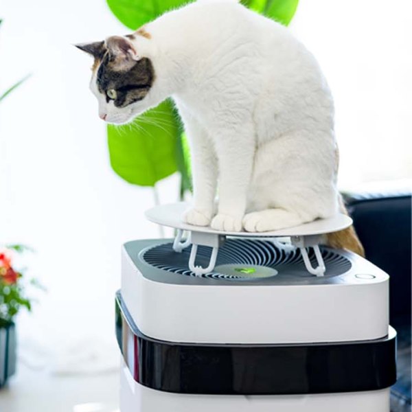 AirDog Pet Air Purifier