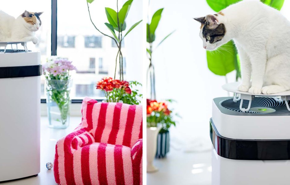 AirDog Pet Air Purifier