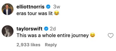 Taylor Swift Reacts to Fan's Drunken Experience at Eras Tour