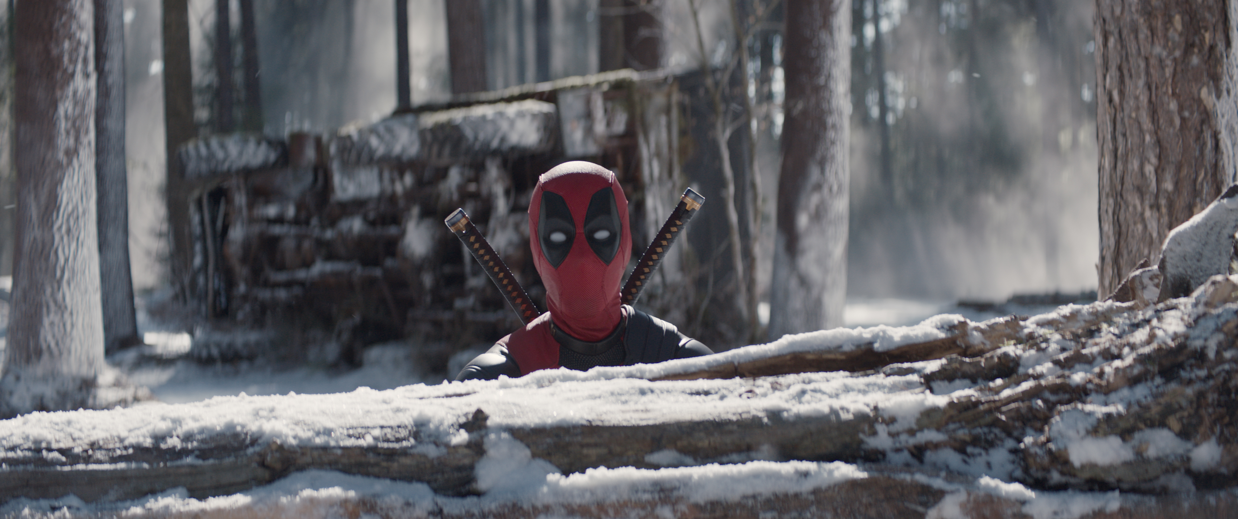 Who Played Lady Deadpool? All Deadpool and Wolverine Cameos