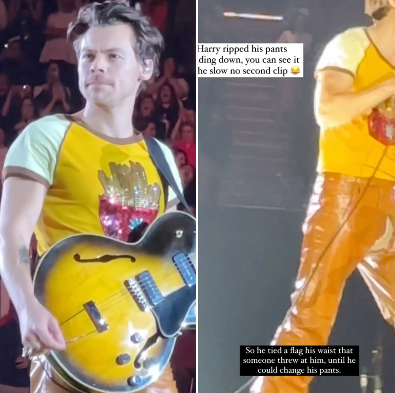 harry styles ripped pants