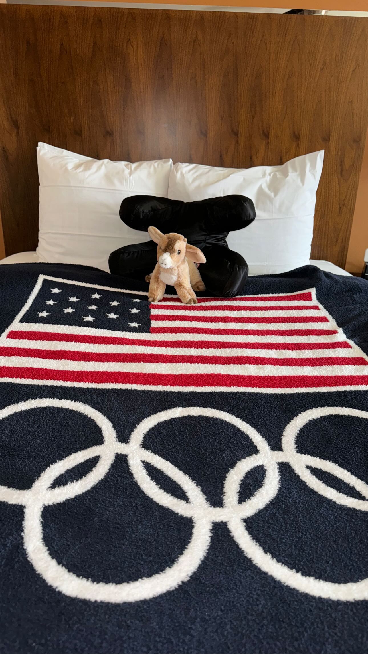  Simone Biles Arrives in Paris Ahead of 2024 Olympics