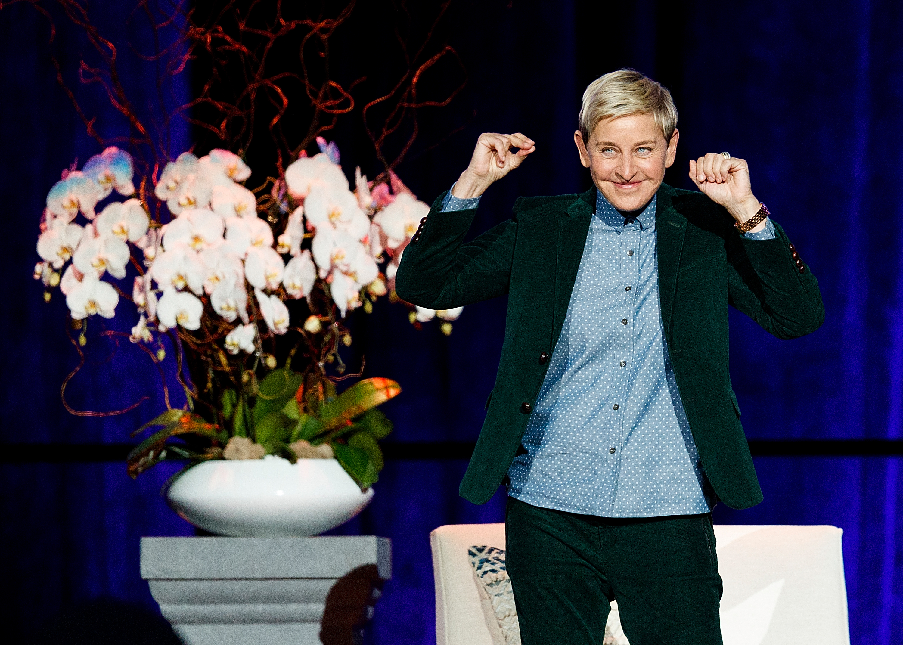 What Happened to Ellen DeGeneres