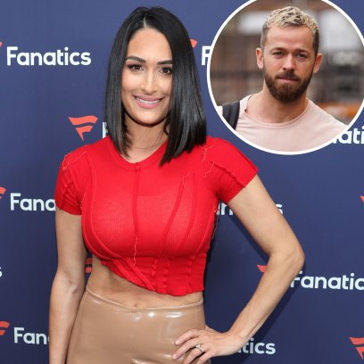 Brie Bella Implies Artem Chigvintsev Is Lying After Charges Dropped