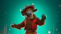 FEATURE Masked Singer Season 12 Clues Who Is Buffalo