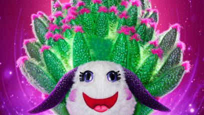 Masked Singer Season 12 Reveals Leaf Sheep Unmasked 480