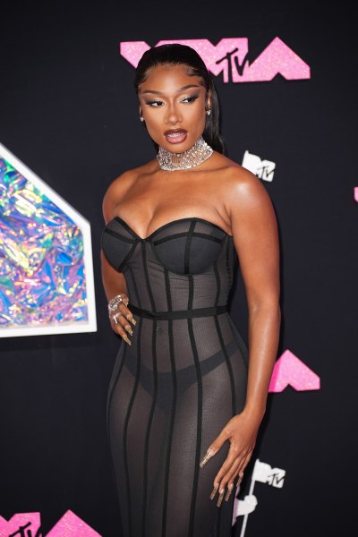 Did Megan Thee Stallion Get Plastic Surgery? VMAs Host Responds to Nose Job Rumors