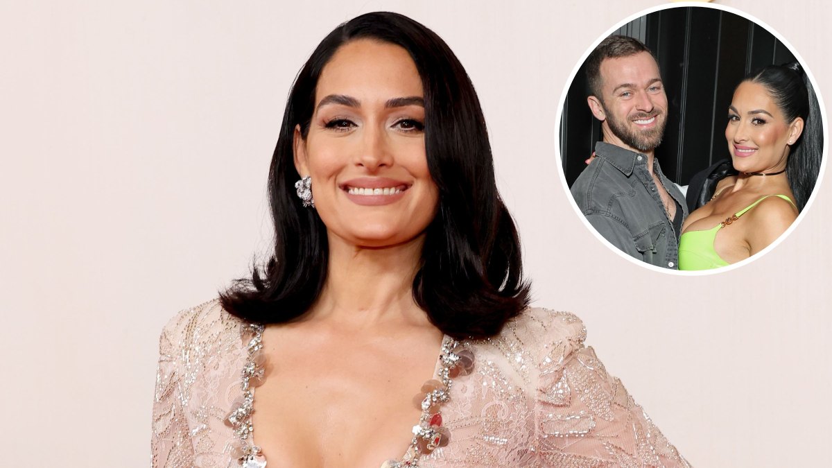 Nikki Bella Says TK About Artem Chigvintsev Divorce and Arrest Drama