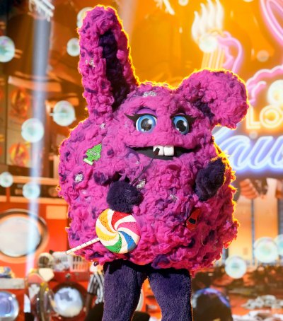 Who Is Dust Bunny on The Masked Singer