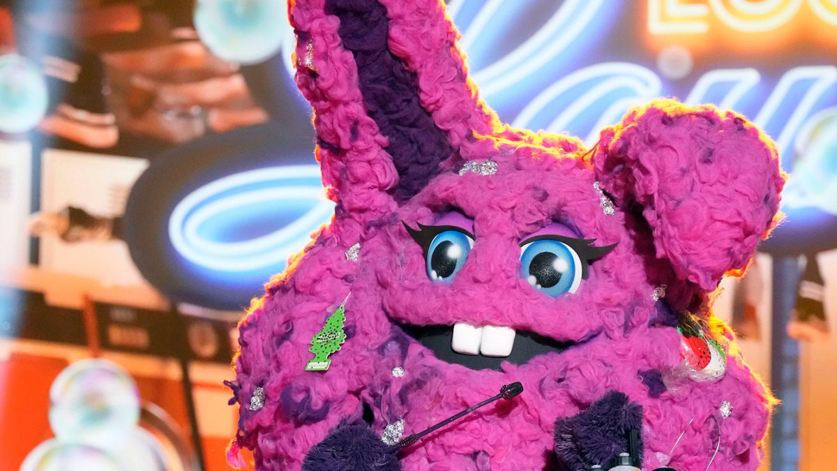 Who Is Dust Bunny on The Masked Singer