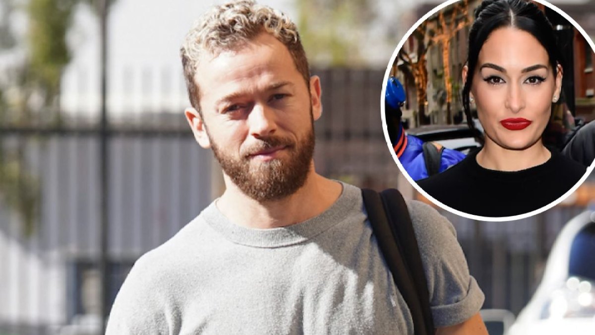 artem chigvintsev files restraining order against nikki bella