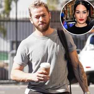 artem chigvintsev files restraining order against nikki bella