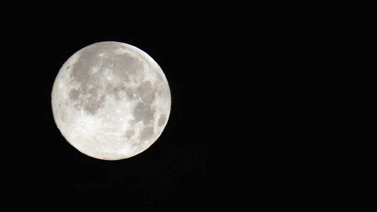 Look After Yourself! See Your Horoscope Forecast for the Week of October 13 Through October 19