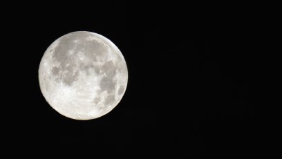 Look After Yourself! See Your Horoscope Forecast for the Week of October 13 Through October 19