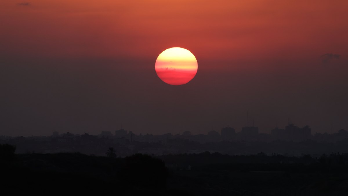 Your Skills Are Special! See Your Horoscope Forecast for the Week of November 17 Through November 23