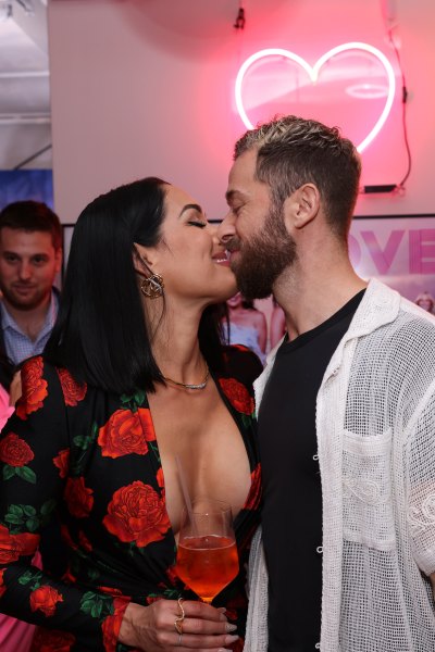 nikki bella public romance artem