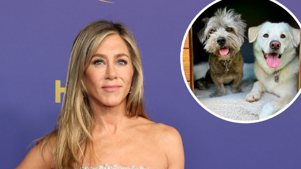 'Charitable' Jennifer Aniston Working to Help Pets Amid Wildfires (EXCL)