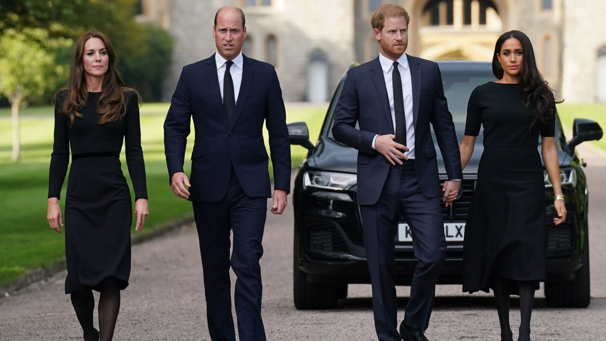 Kate Middleton Wants Prince William and Prince Harry to Reconnect