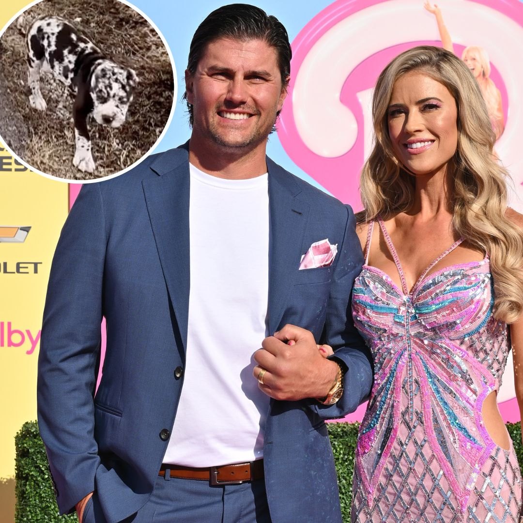 Josh Hall Debuts Adorable Puppy Amid Divorce From Christina Hall | Life ...