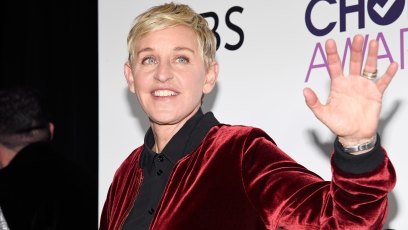 Ellen DeGeneres’ 'Dream' of a Comeback 'Dead in the Water' (EXCLUSIVE)