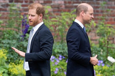 Prince Harry 'Takes Pride' in His Thinning Mane (EXCL)
