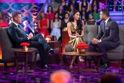 Tyler Cameron Accuses Bachelor Grant Ellis of Unfollowing Him Over Litia Garr Support