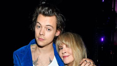 GettyImages stevie harry