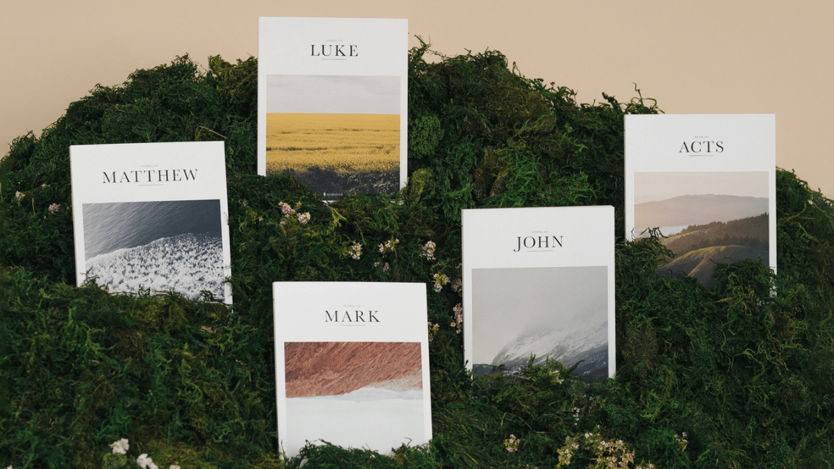 Alabaster Bible Books