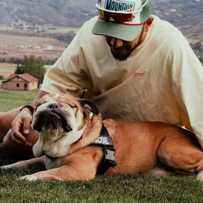 F1 Star Lewis Hamilton Mourns the Loss of His Dog