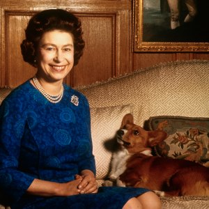 Sarah Ferguson Honors Anniversary of Queen Elizabeth's Death With Photo of Her Beloved Corgis 515395626