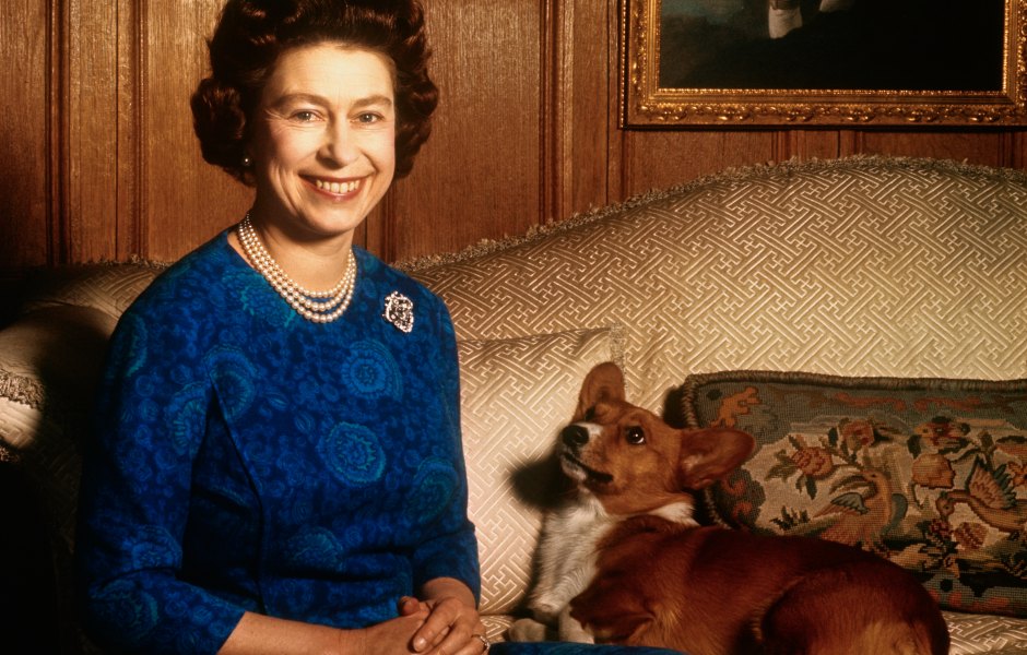 Sarah Ferguson Honors Anniversary of Queen Elizabeth's Death With Photo of Her Beloved Corgis 515395626