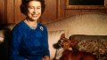 Sarah Ferguson Honors Anniversary of Queen Elizabeth's Death With Photo of Her Beloved Corgis 515395626