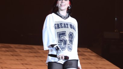 Billie Eilish Was Seen Being Violently Yanked by Audience Member During Miami Concert 1685813905