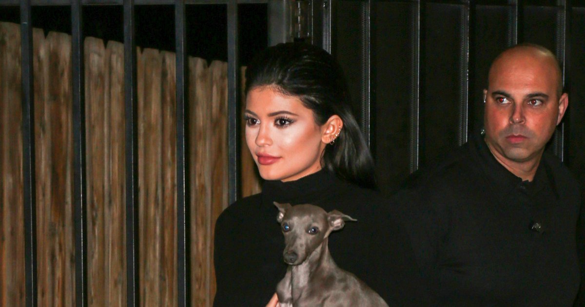 Kylie Jenner Mourns Beloved Italian Greyhound Norman’s Loss of life Kylie Jenner Mourns Beloved Italian Greyhound Norman’s Loss of life
