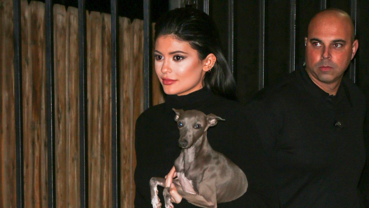 496786970 LOS ANGELES, CA - NOVEMBER 11: Kylie Jenner and Tyga are seen on November 11, 2015 in Los Angeles, California. (Photo by gotpap/Bauer-Griffin/GC Images)